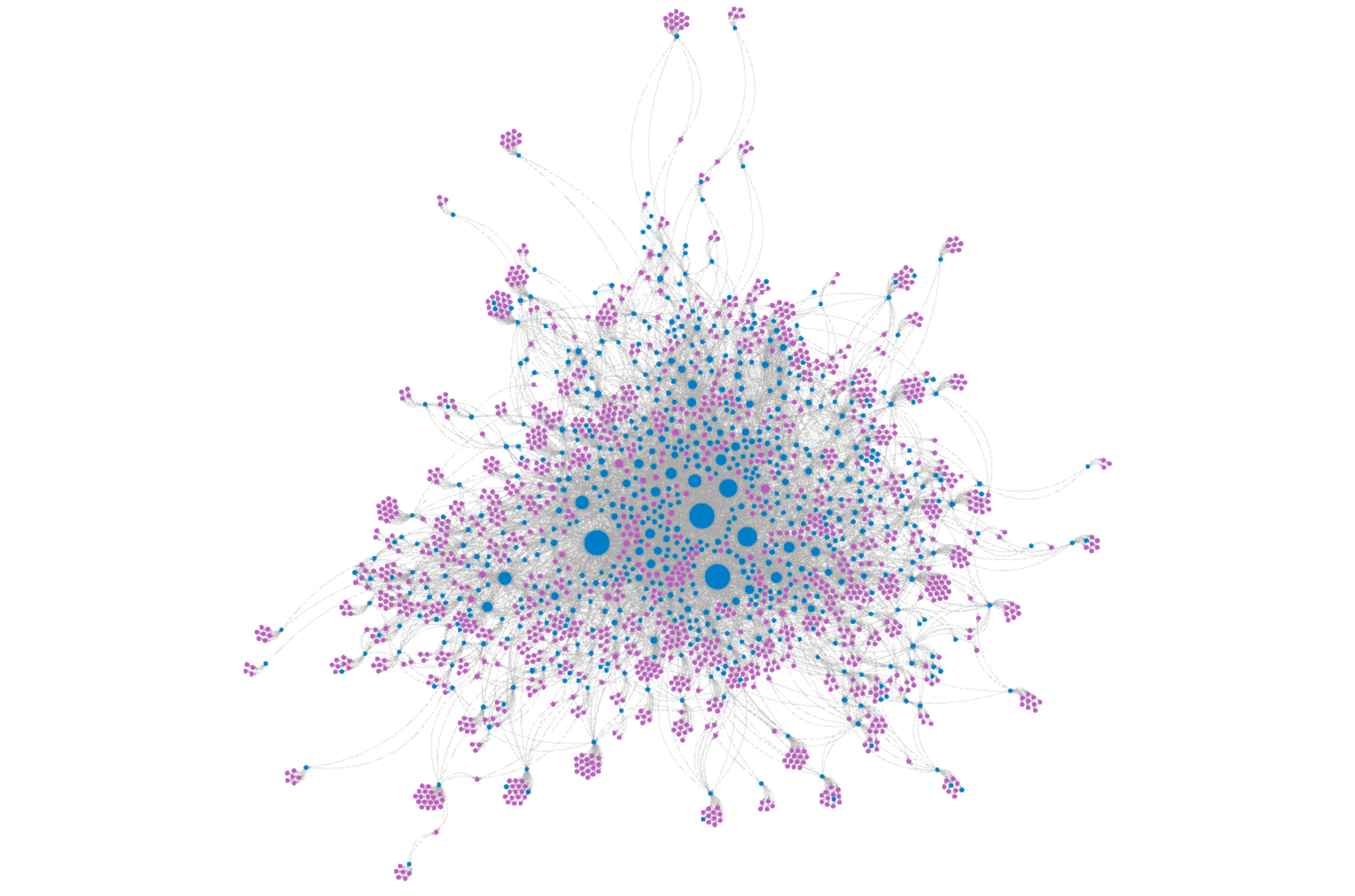 The 2026 PANC network. Blue nodes are PANC respondents, pink nodes are people nominated but who did not respond, and each line is a nomination.